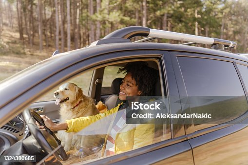 istock Road trip with my best friend 1324380685