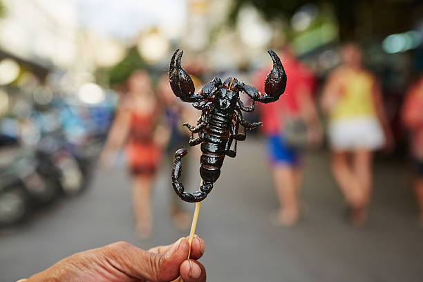 gebratene skorpion - skorpion stock-fotos und bilder