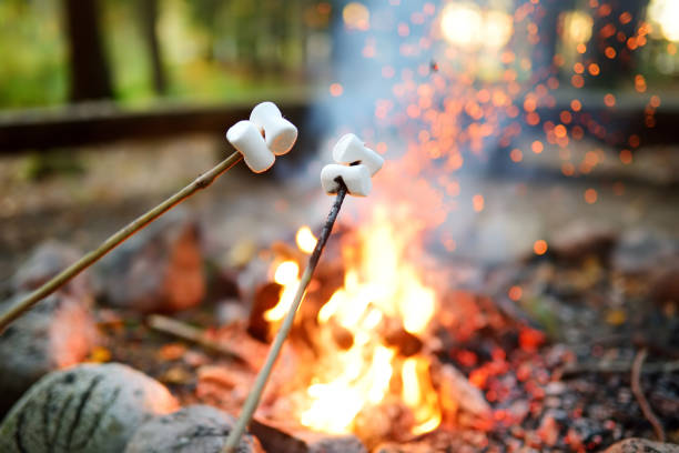 arrostire marshmallow su bastone al falò. divertirsi al fuoco del campo. - campeggio foto e immagini stock