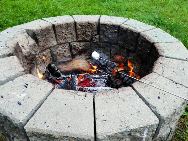 Roasting Marshmallows Over a Campfire stock photo