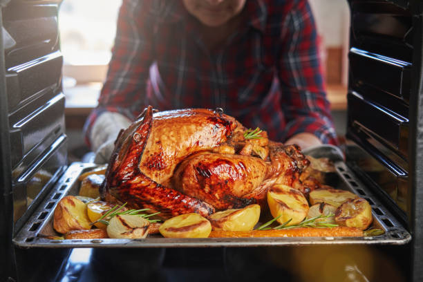 roasting turkey in the oven for holiday dinner - turkey imagens e fotografias de stock