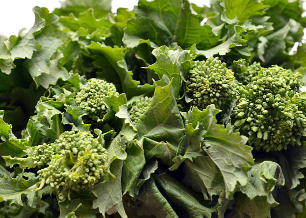 Robberies Close up of Rapini aka Broccoli Rabe. broccoli rabe stock pictures, royalty-free photos & images