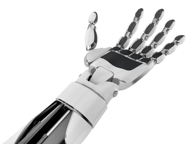 роботизированная рука держит пустую ладонь, изолированную на белом фоне. - robot hand white background стоковые фото и изображения