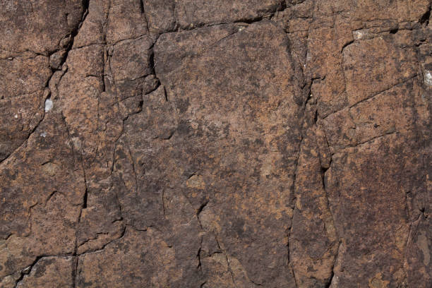Rock Face A rough rock texture background rock face stock pictures, royalty-free photos & images