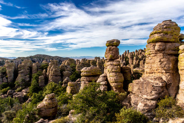 Rock forest in Chiricahua national monument stock photo