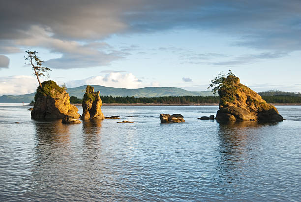 Rock Formations at Sunset The Pacific Coast is famous for its many offshore rock stacks. This picturesque rock formation with a lone tree growing on top was photographed at sunset on Tillamook Bay near Garibaldi, Oregon, USA. jeff goulden oregon coast stock pictures, royalty-free photos & images