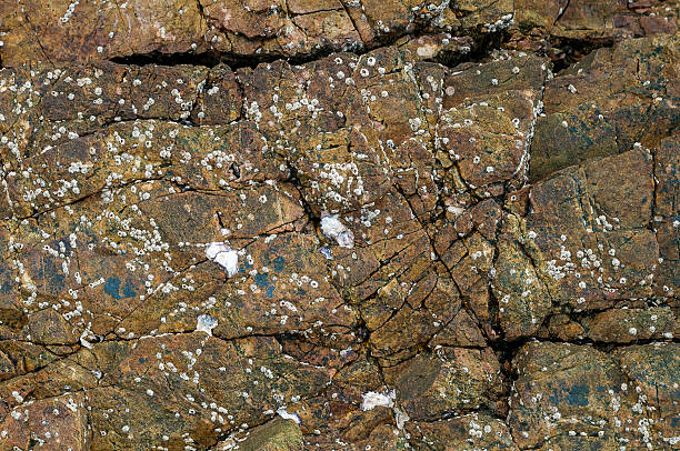 Rock weathering the sea , Thailand . stock photo