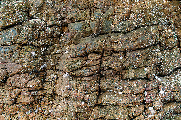Rock weathering the sea , Thailand . stock photo