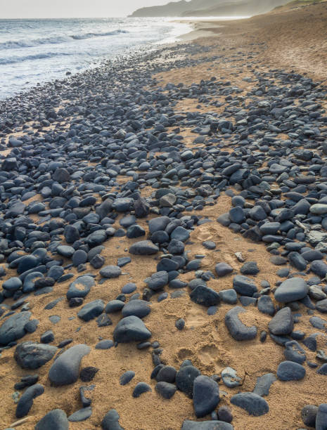 rocce in una spiaggia dell'arcipelago di fernando de noronha, brasile - leao foto e immagini stock