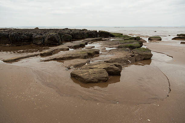 Rocks on the beach front taken in Scotland stock photo