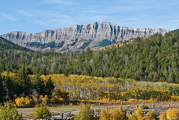Rocky Mountain Front Range in the Fall Fall comes early to the high country of Montana. While the plains are still baking in the heat of summer, the Continental Divide is taking on the hues of autumn. This scene of the Rocky Mountain Front Range was photographed from the Pine Butte Guest Ranch near Choteau, Montana, USA. jeff goulden montana stock pictures, royalty-free photos & images