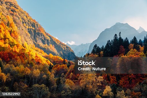 istock Rocky mountains and autumnal forest with colorful trees. High mountain landscape and amazing light 1282522992