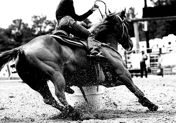 rodeo barrel racing closeup (bw) - cowboy horse bildbanksfoton och bilder