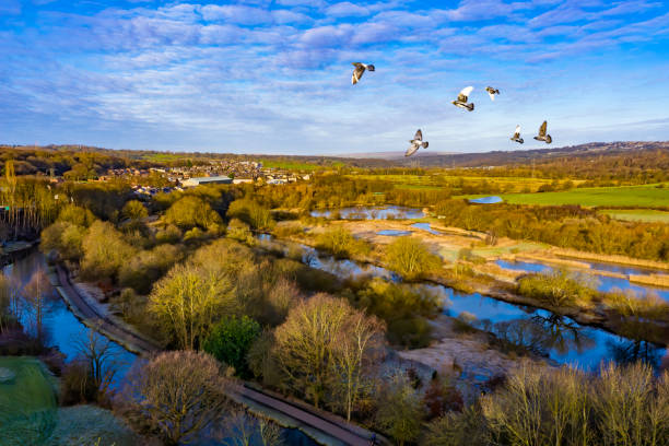 Rodney Bird Reserve in Leeds Rodley Nature Reserve is designed to bring wetland wildlife back into the Leeds area. nature reserve stock pictures, royalty-free photos & images