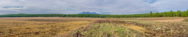 Rogers Lake and the San Francisco Peaks stock photo