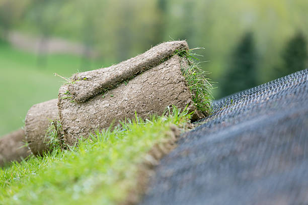 Rolled green grass installation Applying rolled green grass with erosion control mesh on a slope erosion control stock pictures, royalty-free photos & images