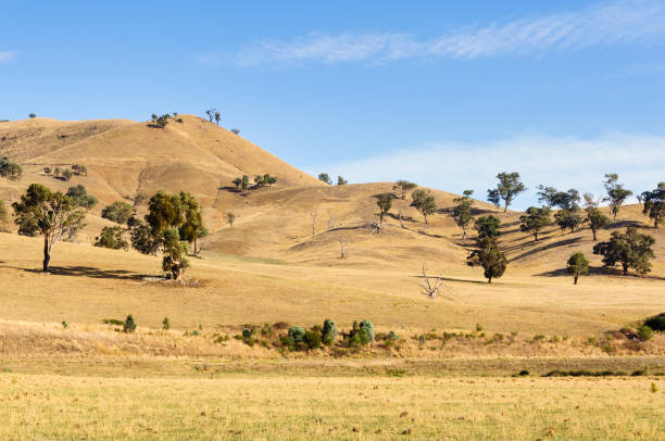 Rolling hills - Mansfield stock photo