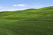 istock Rolling hills of green grass on lawn 89098171
