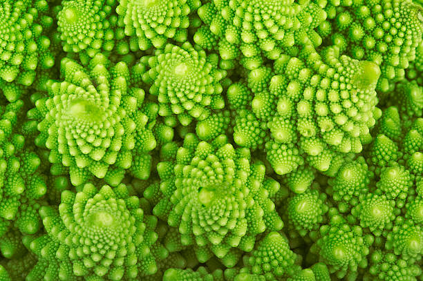 Roman broccoli Roman broccoli extreme close up fractal stock pictures, royalty-free photos & images