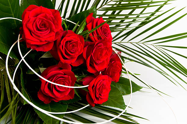 Romantic bouquet of seven red roses stock photo