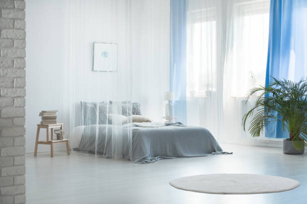 넓은 침실의 로맨틱 디자인 - 반투명한 뉴스 사진 이미지