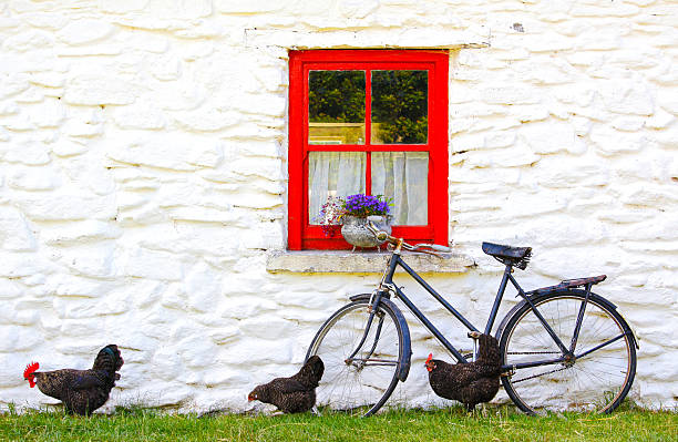 romantic idyll in a village in Ireland romantic idyll in a village in Ireland: chickens in front of a cottage with a red window and an old  bike killarney ireland stock pictures, royalty-free photos & images