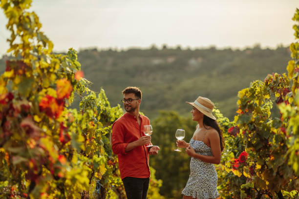 romantic love couple drinking wine in vineyard - romantic love 個照片及圖片檔