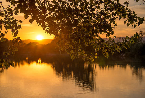 Romantic summer sunset on the lake with the tree stock photo