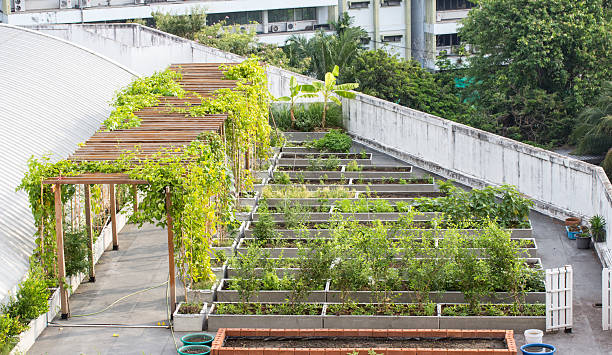 bar "roof garden" auf städtischen gebäude - dachterasse stock-fotos und bilder