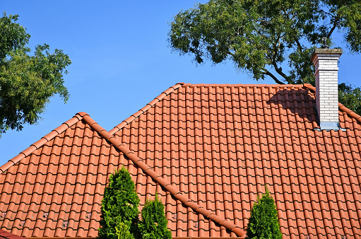 Roof of a house and trees