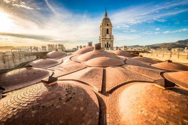 Roof of Malaga Cathedral stock photo