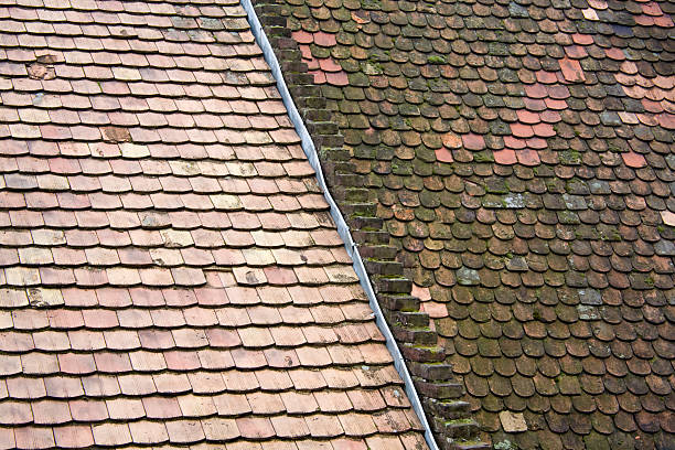 Roof Tiles stock photo