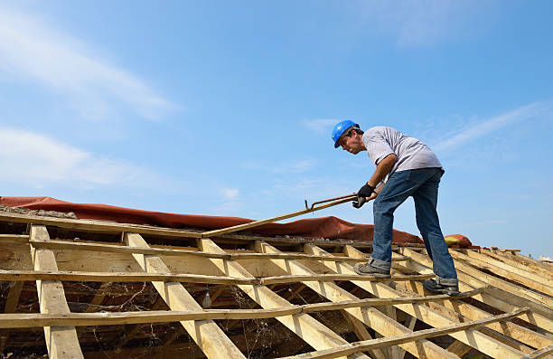 roofer stock photo