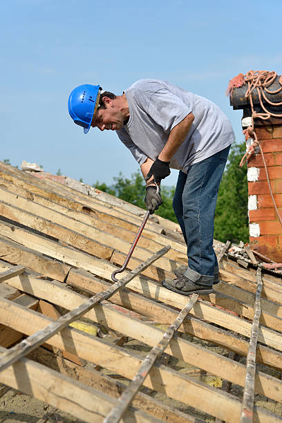 roofer two stock photo