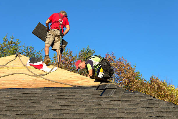 Roofers with Safety Equipment stock photo