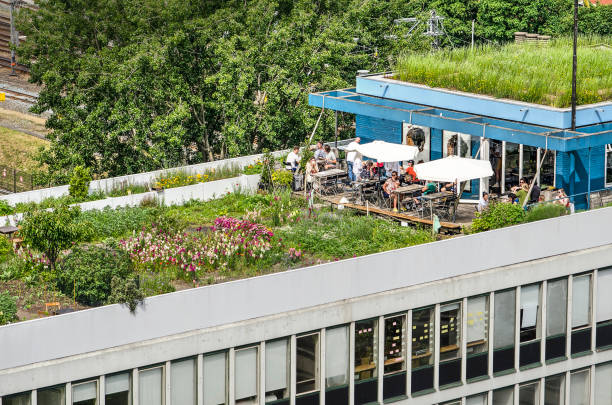 Rooftop garden and cafe Rotterdam, The Netherlands, June 2, 2019: section of the Dakakker (Rooftop Field) with a flower garden and a cafe on top of a 1960's office building roof garden stock pictures, royalty-free photos & images