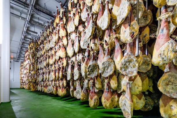 room cooled for healing and drying of hams from Iberian pigs stock photo