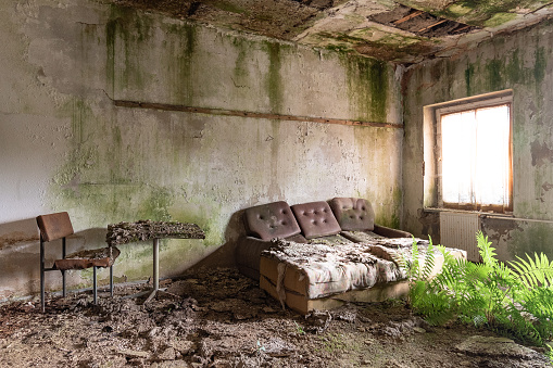 Room with furniture and mold in run-down hotel