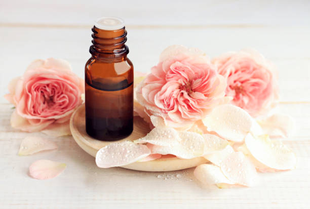 roos aromatherapie olie - essential oils smell stockfoto's en -beelden