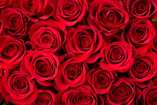 Bouquet of red roses on a black background. Top view