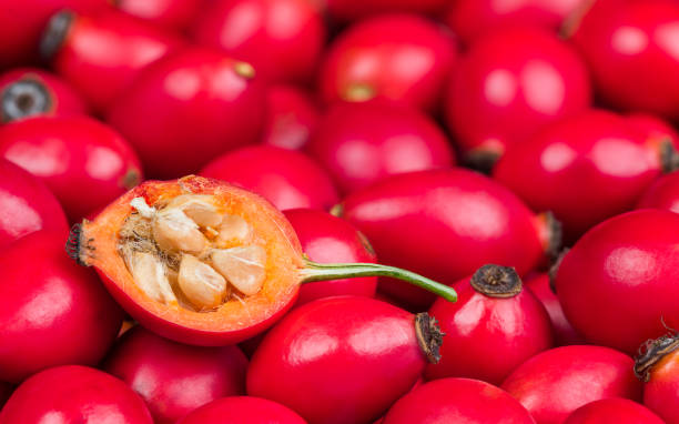 Rose hip half with core hairy seeds in sweet pulp on red fruits texture. Rosa canina stock photo
