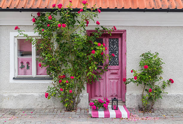 roses decorating the house entrance - gotland bildbanksfoton och bilder