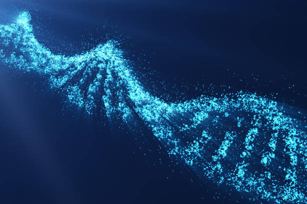 rotating dna, genetic engineering scientific concept, blue tint, 3d rendering - teste de dna imagens e fotografias de stock