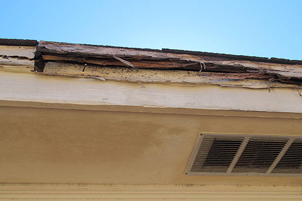 Rotted Wood House Eaves  termite damage stock pictures, royalty-free photos & images