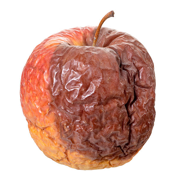 Rotten apple(+clipping path) stock photo