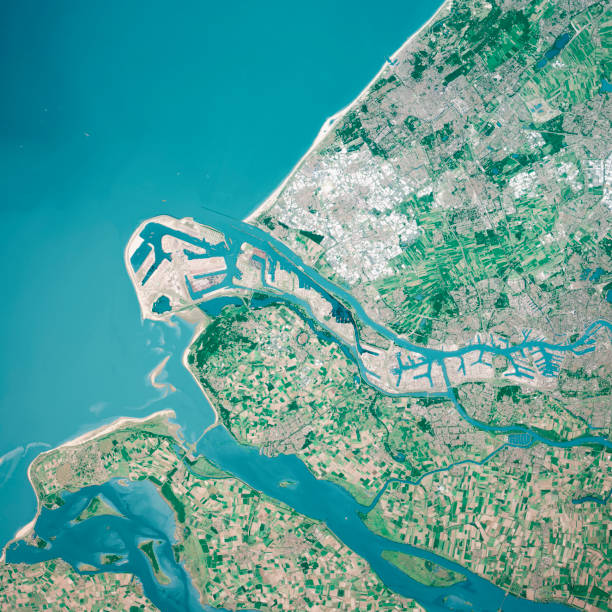 rotterdam river mouth 3d renderen luchtfoto top view aug 2019 - rotterdam stockfoto's en -beelden