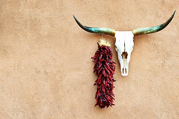 Route 66, Cow Skull and Chili Peppers on Stucco Wall Route 66, Cow Skull and Chili Peppers Hanging on Stucco Wall adobe backgrounds stock pictures, royalty-free photos & images