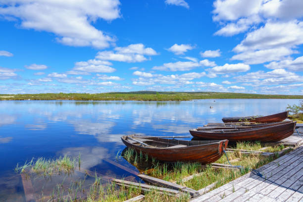 row boats at a lake in wilderness - badstrand sommar sverige bildbanksfoton och bilder
