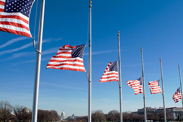 Row of American Flags at Half Mast, Washington, DC, USA "Washington, DC, USA flags at half mast, showing respect for somebody who has died.  US Capital building in the background.  - See lightbox for more" flag at half staff stock pictures, royalty-free photos & images