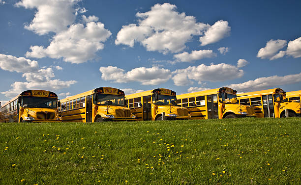 Row of School Buses stock photo